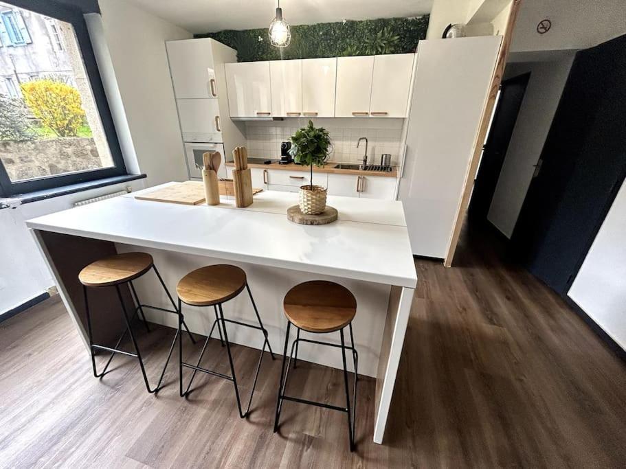 Le Puy En Velay - Appartement Grand Confort Exteriér fotografie