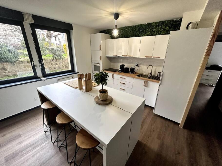 Le Puy En Velay - Appartement Grand Confort Exteriér fotografie